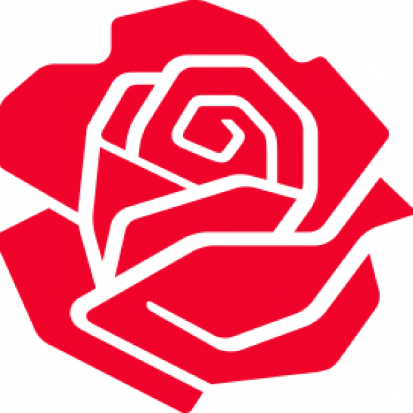rose_rød